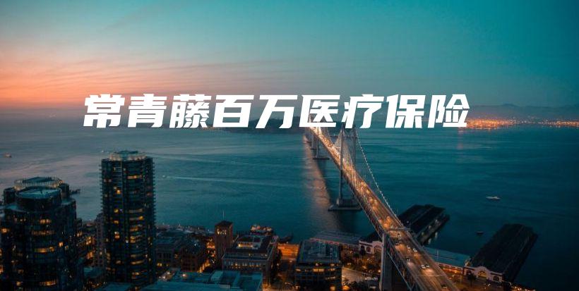 常青藤百万医疗保险-PLB