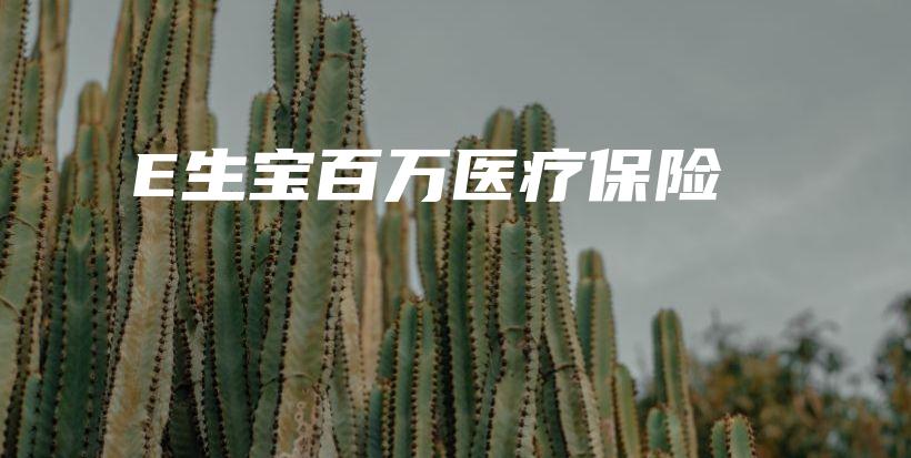 E生宝百万医疗保险-PLB