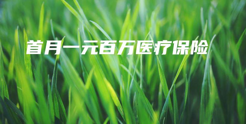 首月一元百万医疗保险-PLB