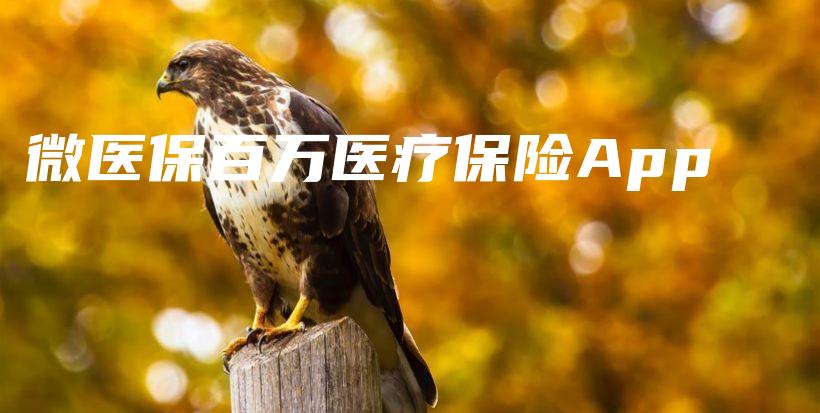 微医保百万医疗保险App-PLB