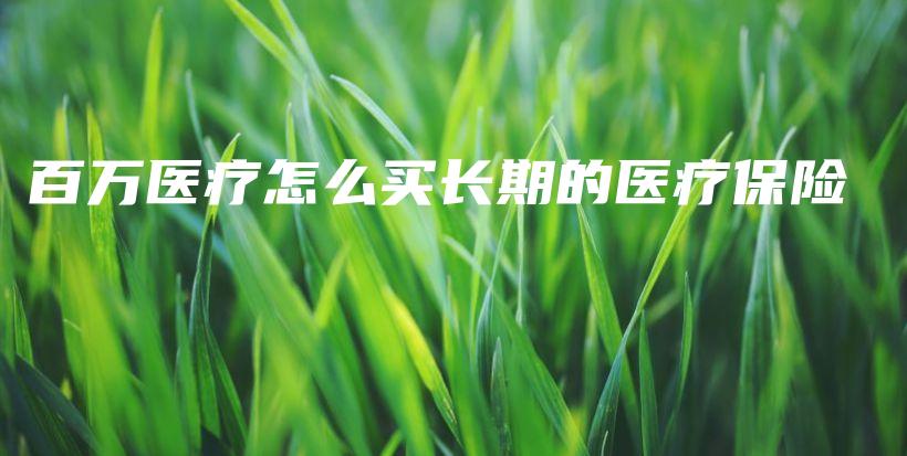 百万医疗怎么买长期的医疗保险-PLB
