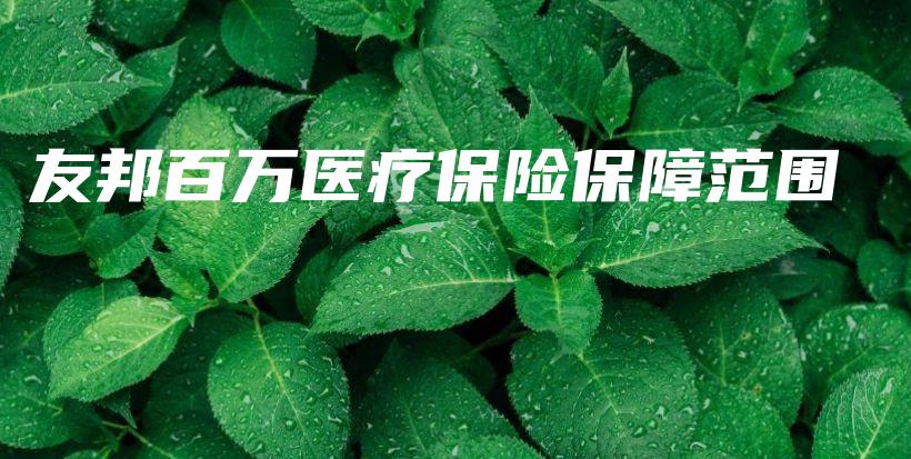 友邦百万医疗保险保障范围-PLB