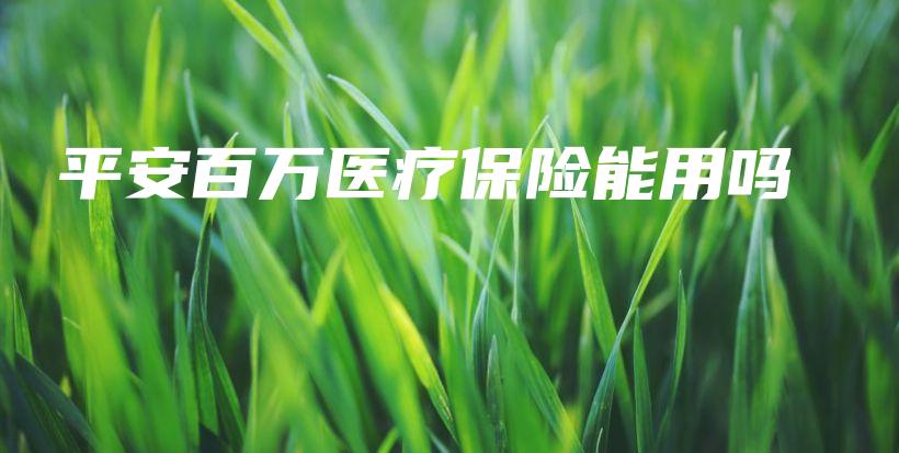 平安百万医疗保险能用吗-PLB