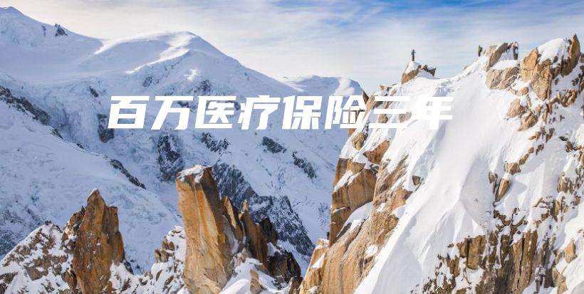 百万医疗保险三年-PLB