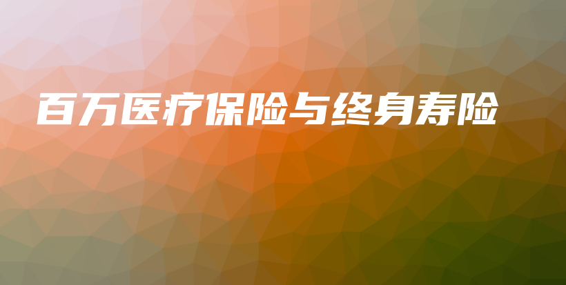 百万医疗保险与终身寿险-PLB