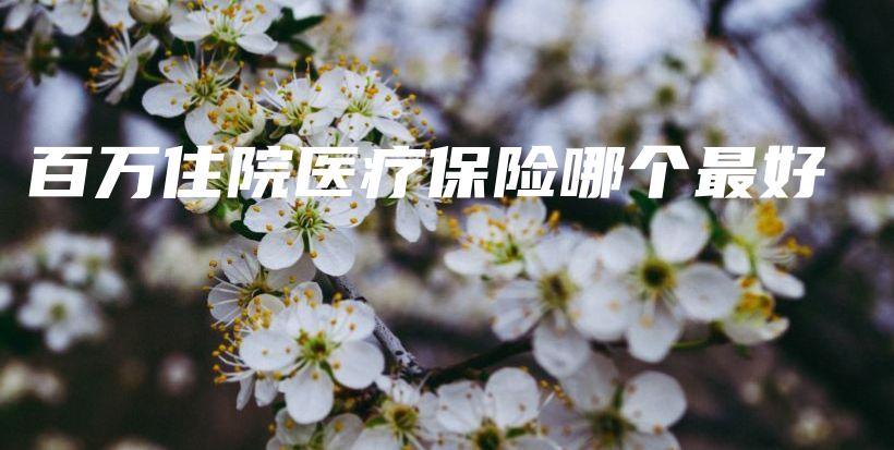 百万住院医疗保险哪个最好-PLB