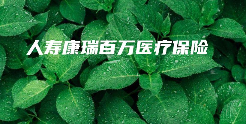 人寿康瑞百万医疗保险-PLB