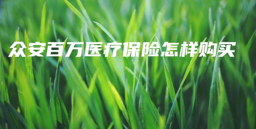 众安百万医疗保险怎样购买-PLB