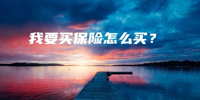 我要买保险怎么买？-PLB