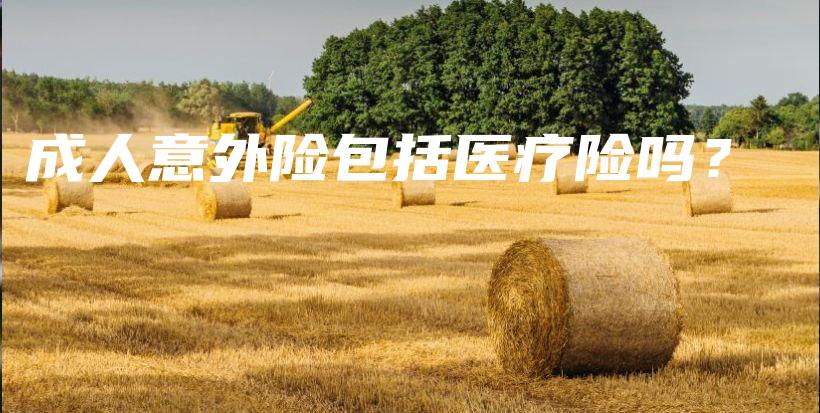 成人意外险包括医疗险吗？-PLB