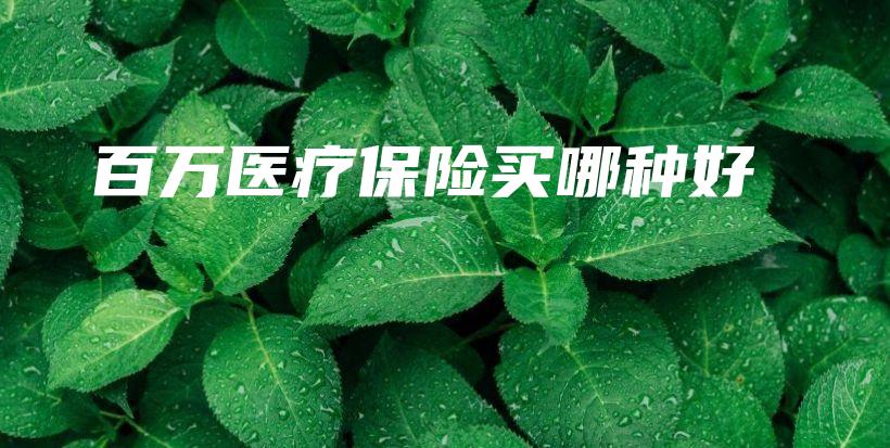 百万医疗保险买哪种好-PLB