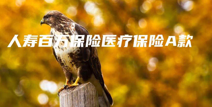 人寿百万保险医疗保险A款-PLB