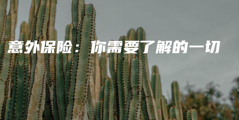 意外保险：你需要了解的一切-PLB