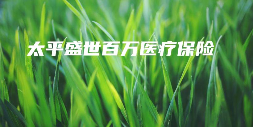 太平盛世百万医疗保险-PLB