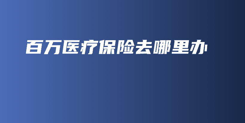 百万医疗保险去哪里办-PLB