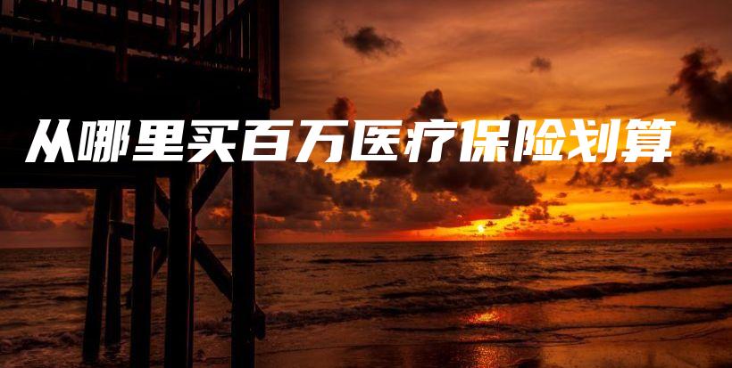 从哪里买百万医疗保险划算-PLB