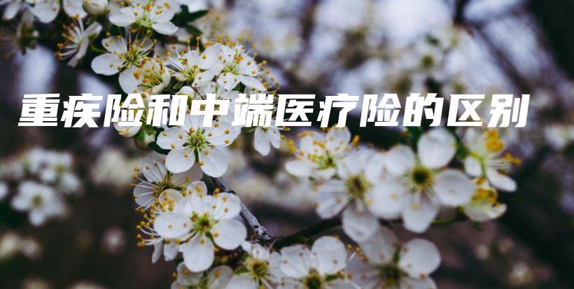 重疾险和中端医疗险的区别-PLB