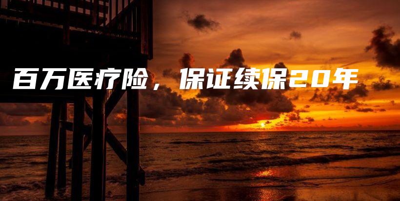 百万医疗险，保证续保20年-PLB