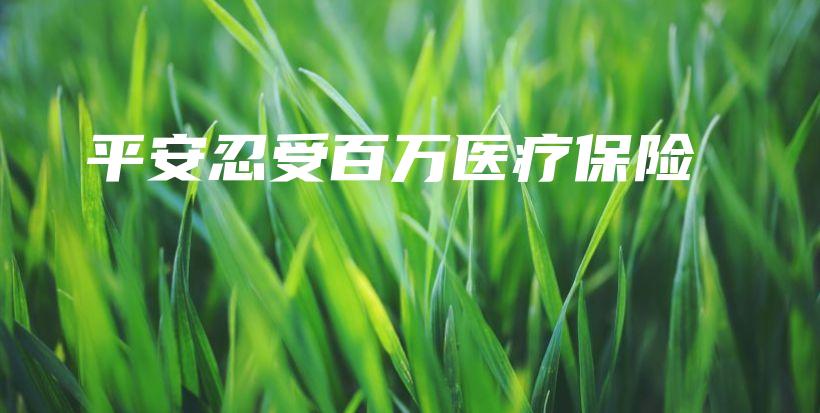 平安忍受百万医疗保险-PLB