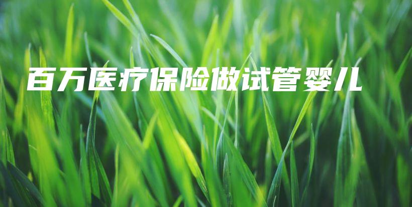 百万医疗保险做试管婴儿-PLB