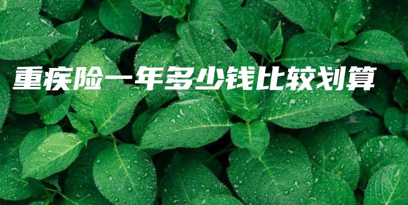 重疾险一年多少钱比较划算-PLB