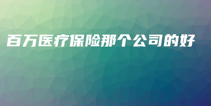 百万医疗保险那个公司的好-PLB