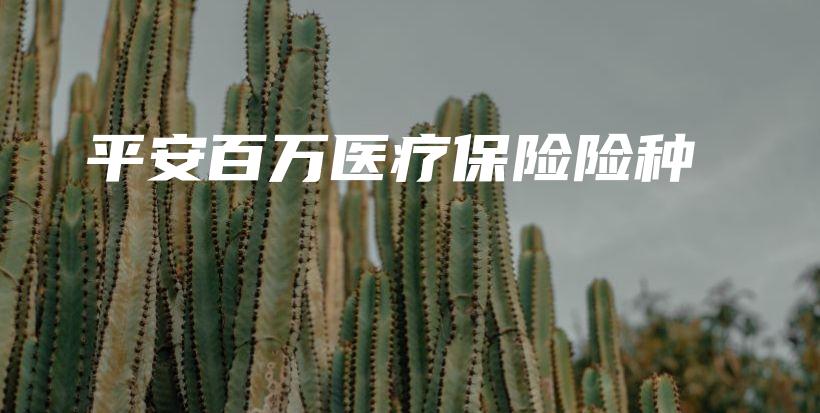 平安百万医疗保险险种-PLB