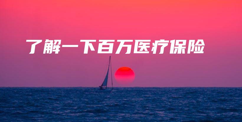 了解一下百万医疗保险-PLB