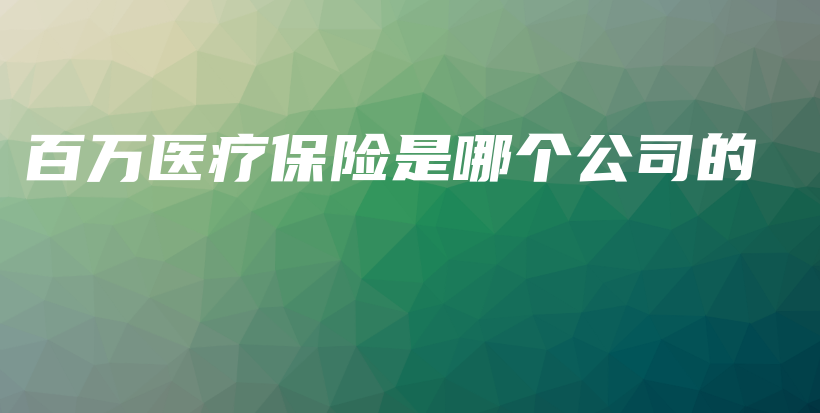 百万医疗保险是哪个公司的-PLB