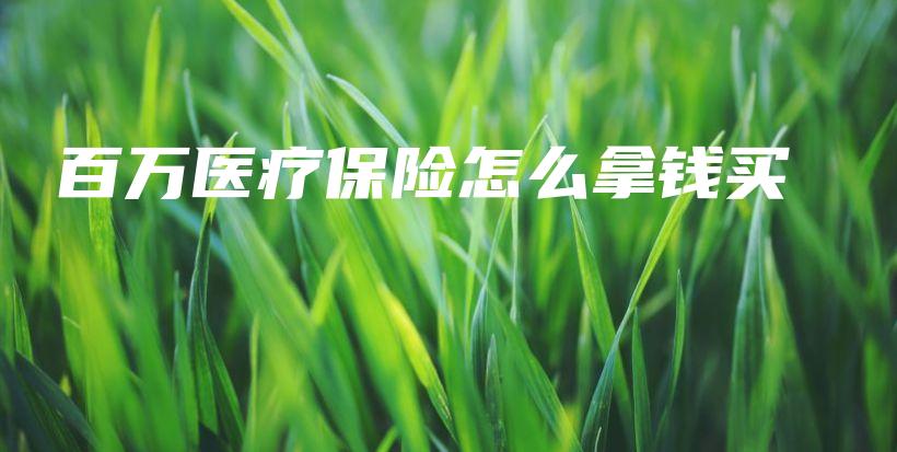 百万医疗保险怎么拿钱买-PLB