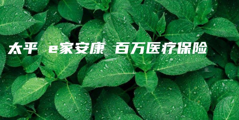 太平 e家安康 百万医疗保险-PLB