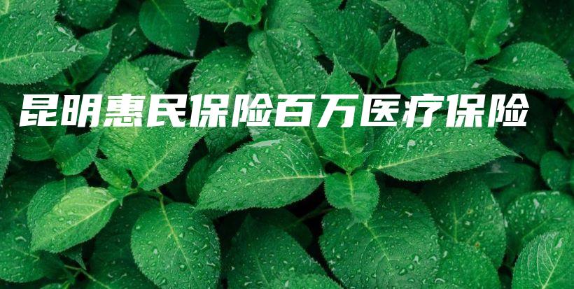 昆明惠民保险百万医疗保险-PLB