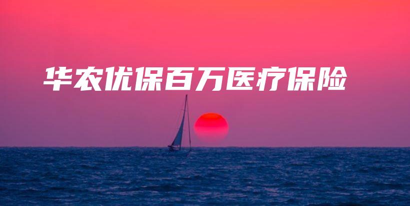 华农优保百万医疗保险-PLB
