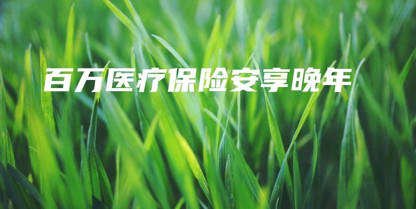 百万医疗保险安享晚年-PLB