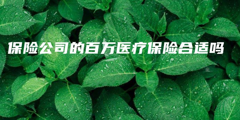 保险公司的百万医疗保险合适吗-PLB
