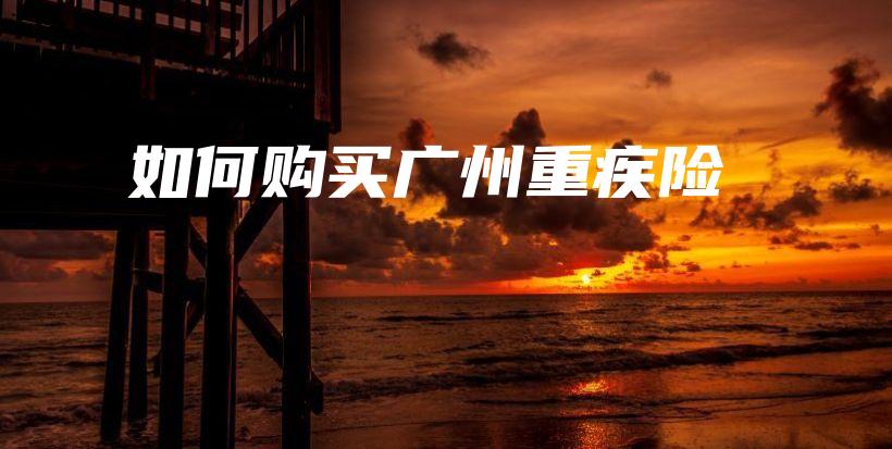 如何购买广州重疾险-PLB