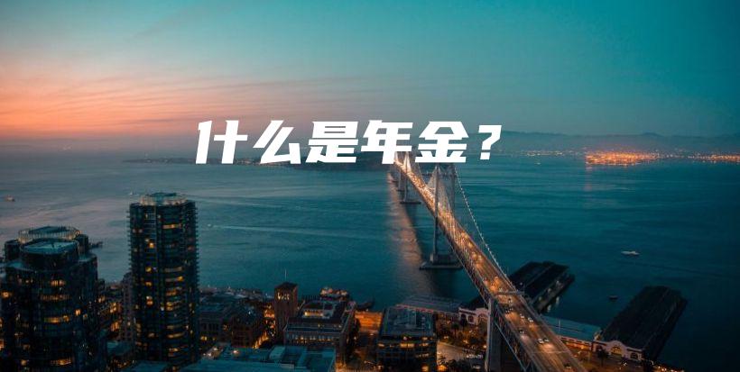 什么是年金？-PLB