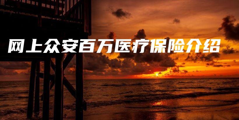 网上众安百万医疗保险介绍-PLB