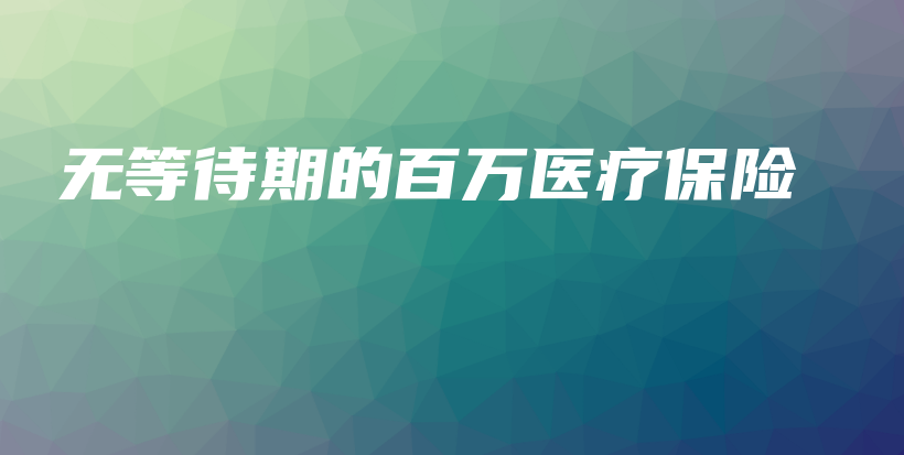 无等待期的百万医疗保险-PLB