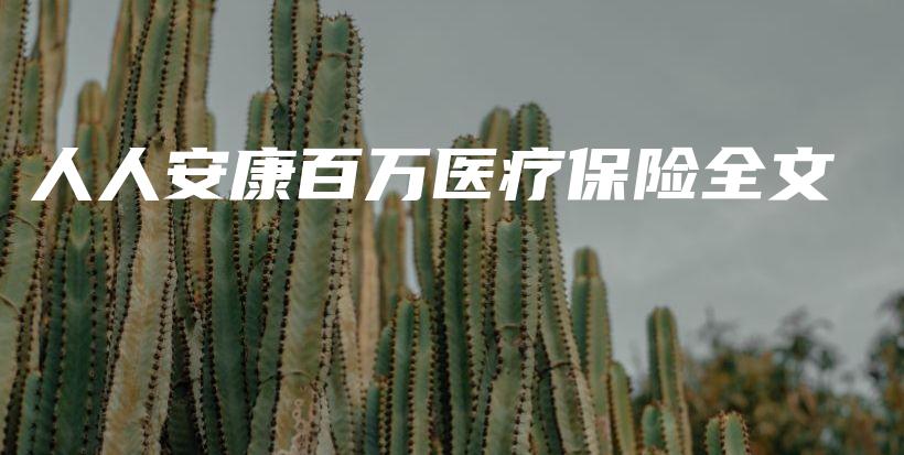人人安康百万医疗保险全文-PLB