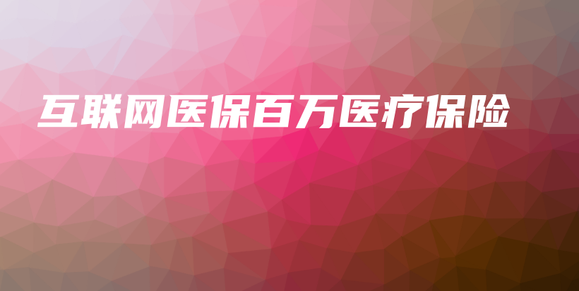 互联网医保百万医疗保险-PLB
