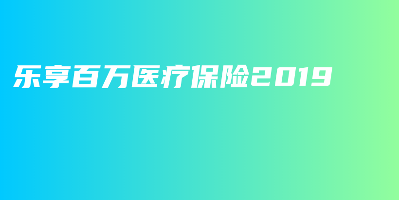 乐享百万医疗保险2019-PLB