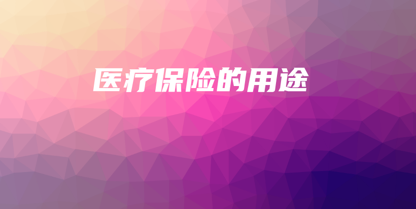 医疗保险的用途-PLB