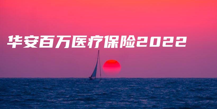 华安百万医疗保险2022-PLB