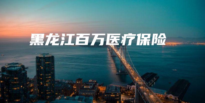 黑龙江百万医疗保险-PLB