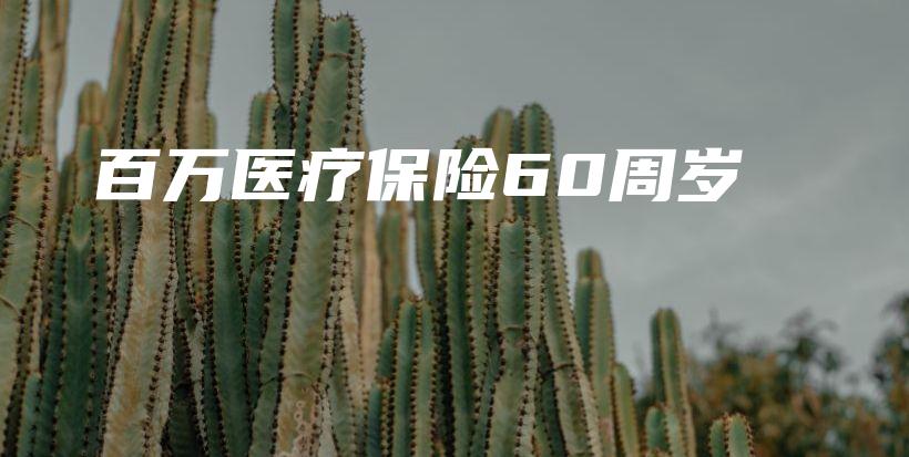 百万医疗保险60周岁-PLB