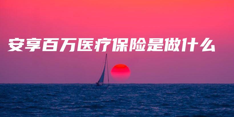 安享百万医疗保险是做什么-PLB
