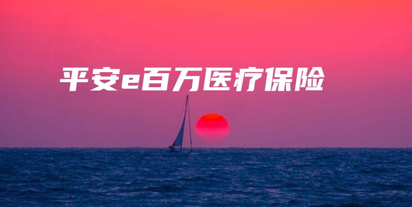 平安e百万医疗保险-PLB