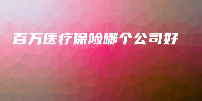 百万医疗保险哪个公司好-PLB