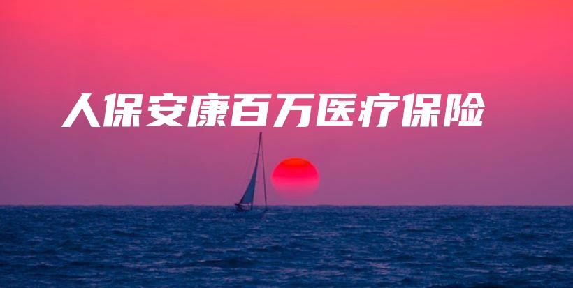 人保安康百万医疗保险-PLB
